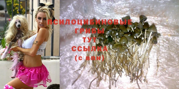 не бодяженный Надым