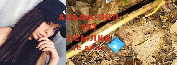 дживик Нефтегорск