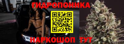 крисы Бузулук