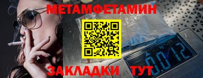 прущие грибы Абакан