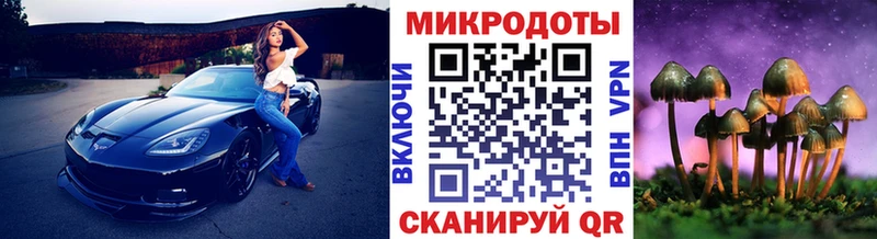 купить закладку  Чусовой  Галлюциногенные грибы Psilocybe 
