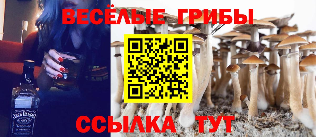 Галлюциногенные грибы MAGIC MUSHROOMS Чусовой