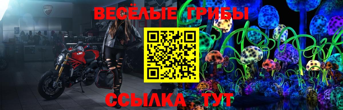 Псилоцибиновые грибы Psilocybe  Чусовой 