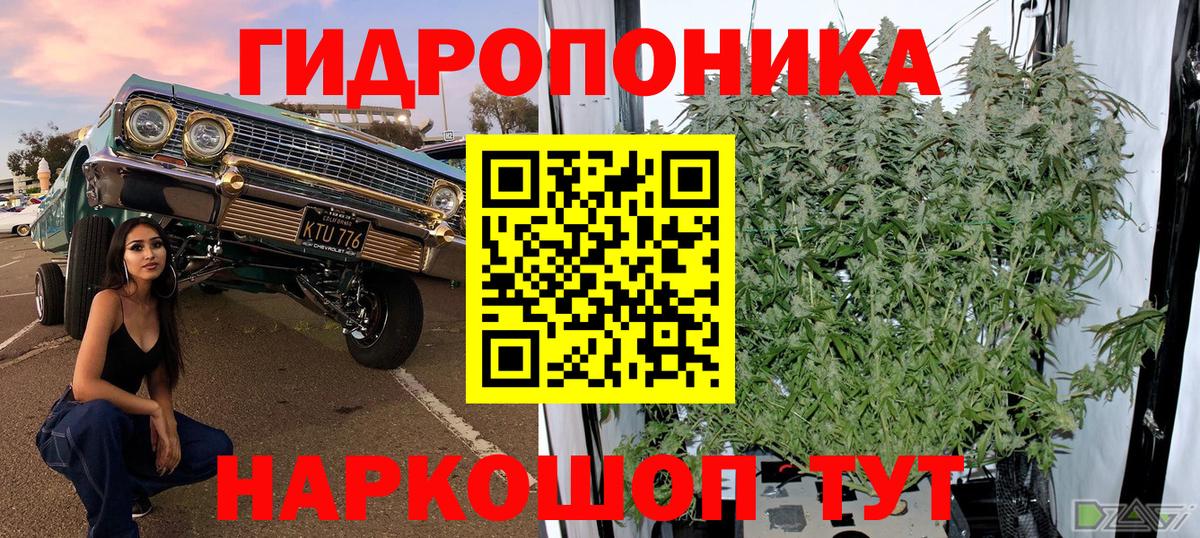 Каннабис сатива Чусовой